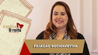 Explica Direito Filiação Socioafetiva  2019 [upl. by Thain]